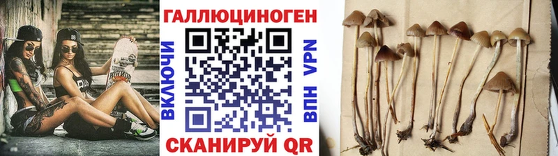 Галлюциногенные грибы мицелий Бобров