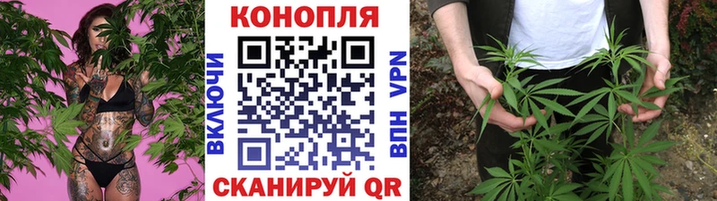 omg как войти  Бобров  Бошки марихуана тримм 
